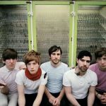 Foals